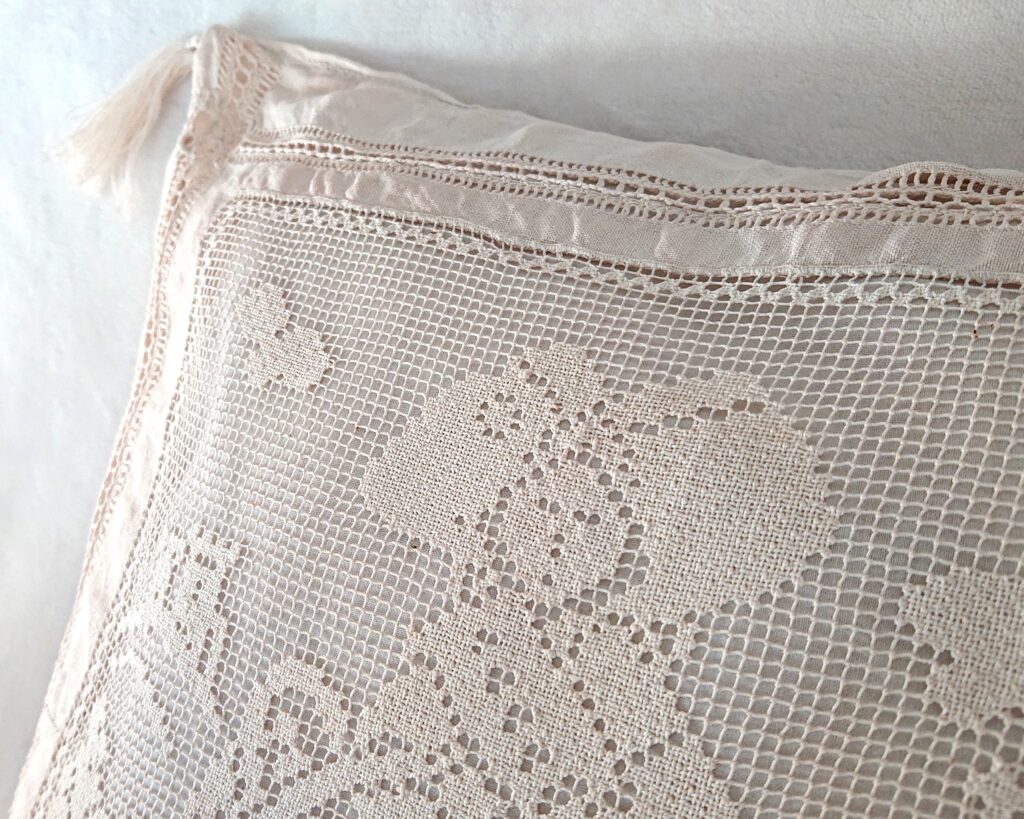 Housse de coussin colorée avec de la teinture végétale à l'avocat